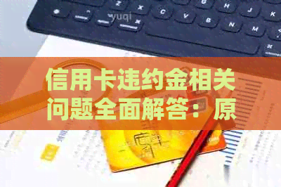 信用卡违约金相关问题全面解答：原因、计算方法、影响及如何避免