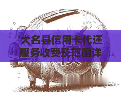 '大名县信用卡代还服务收费及范围详解'