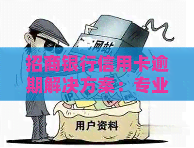 招商银行信用卡逾期解决方案：专业公司提供详细流程解析与服务