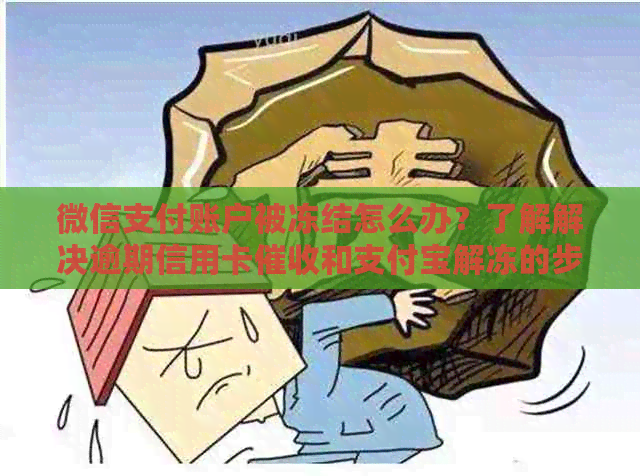 微信支付账户被冻结怎么办？了解解决逾期信用卡和支付宝解冻的步骤