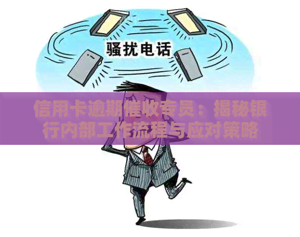 信用卡逾期专员：揭秘银行内部工作流程与应对策略