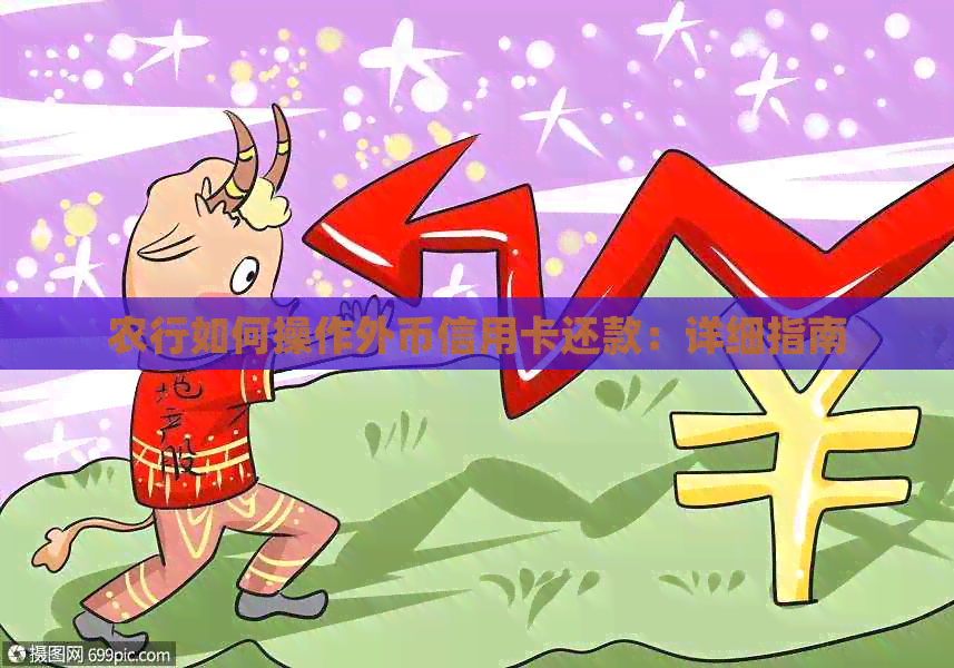 农行如何操作外币信用卡还款：详细指南