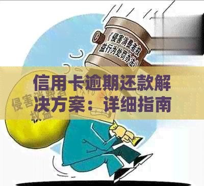 信用卡逾期还款解决方案：详细指南