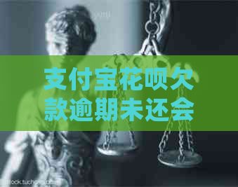 支付宝信用卡欠款逾期未还会有什么后果