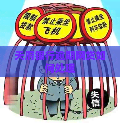 天府银行逾期网贷如何处理
