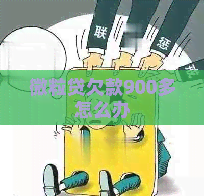 微粒贷欠款900多怎么办