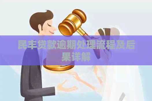 民丰贷款逾期处理流程及后果详解