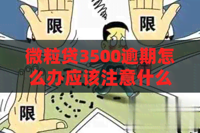 微粒贷3500逾期怎么办应该注意什么