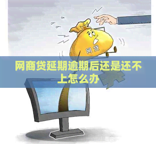 网贷延期逾期后还是还不上怎么办