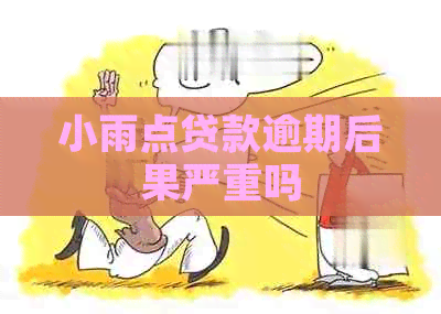 小雨点贷款逾期后果严重吗