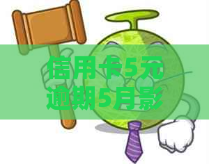 信用卡5元逾期5月影响吗