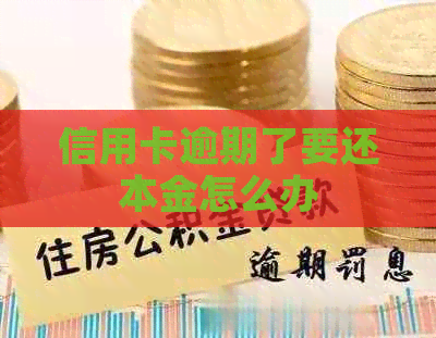 信用卡逾期了要还本金怎么办
