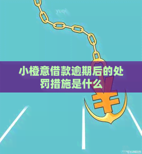 小橙意借款逾期后的处罚措施是什么