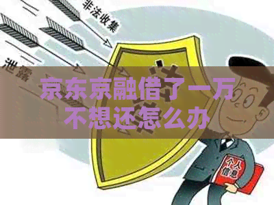京东京融借了一万不想还怎么办