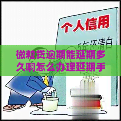 微粒贷逾期能延期多久啊怎么办理延期手续