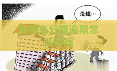 新网来分期逾期怎么办理