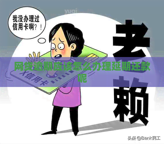 网贷逾期应该怎么办理延期还款呢
