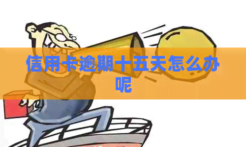 信用卡逾期十五天怎么办呢
