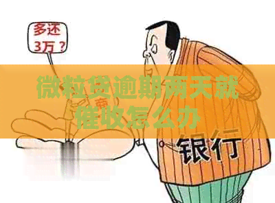 微粒贷逾期两天就怎么办