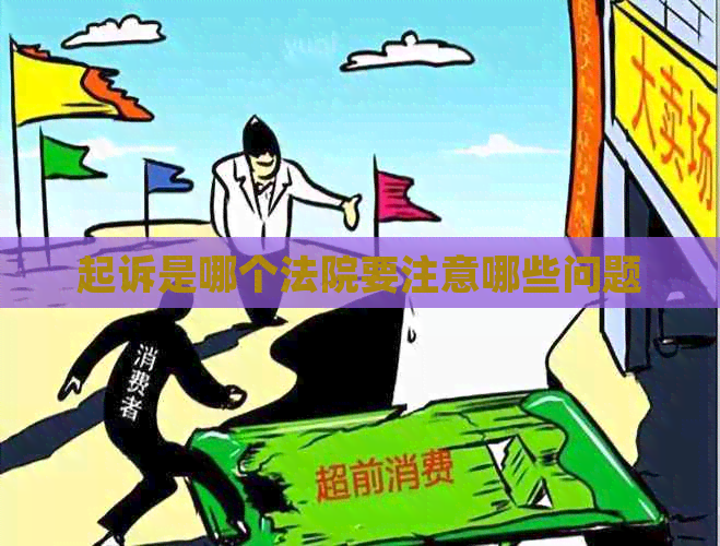 起诉是哪个法院要注意哪些问题