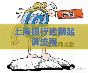 上海银行逾期起诉流程