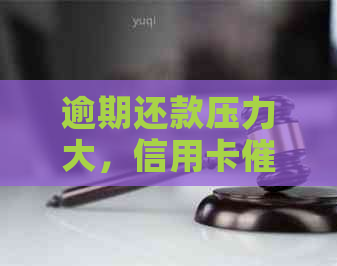 逾期还款压力大，信用卡员让我产生绝望情绪