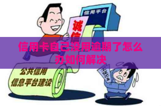 信用卡自己没用逾期了怎么办如何解决