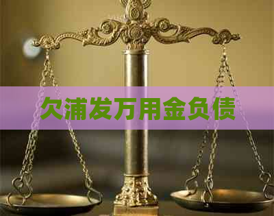 欠浦发万用金负债