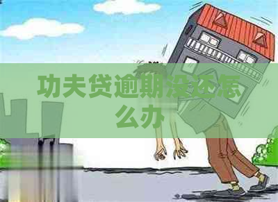 功夫贷逾期没还怎么办