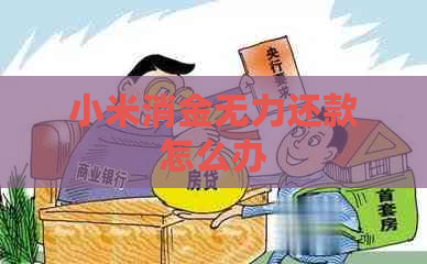 小米消金无力还款怎么办