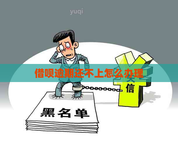 网贷逾期还不上怎么办理