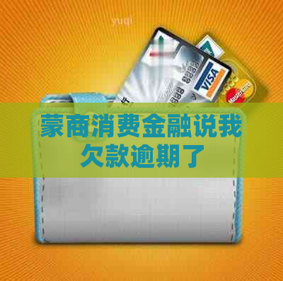 蒙商消费金融说我欠款逾期了