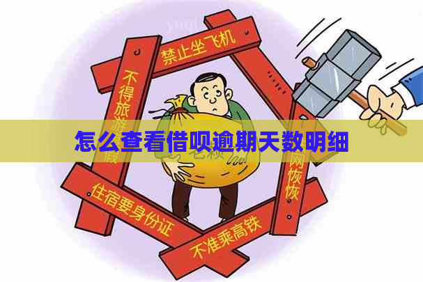 怎么查看网贷逾期天数明细