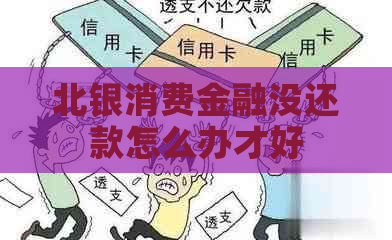 北银消费金融没还款怎么办才好