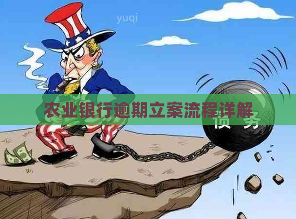 农业银行逾期立案流程详解