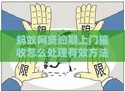 蚂蚁网贷逾期上门怎么处理有效方法