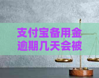 支付宝备用金逾期几天会被起诉