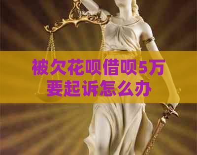 被欠信用卡网贷5万要起诉怎么办