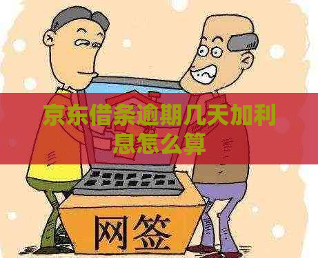 京东借条逾期几天加利息怎么算