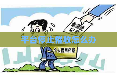 平台停止怎么办