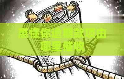 惠懂你逾期款项由哪里