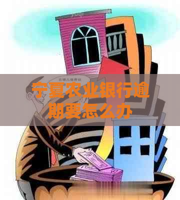 宁夏农业银行逾期要怎么办