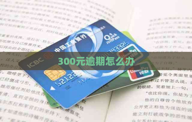 300元逾期怎么办