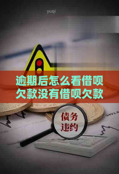 逾期后怎么看网贷欠款没有网贷欠款怎么查