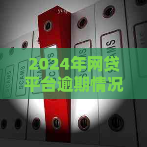 2024年网贷平台逾期情况分析