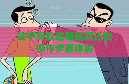 咸宁贷款逾期延期还款操作步骤详解