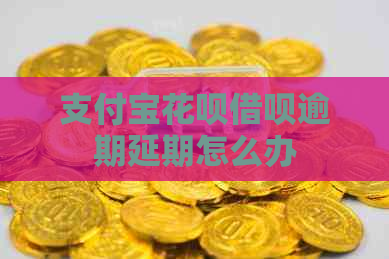 支付宝信用卡网贷逾期延期怎么办