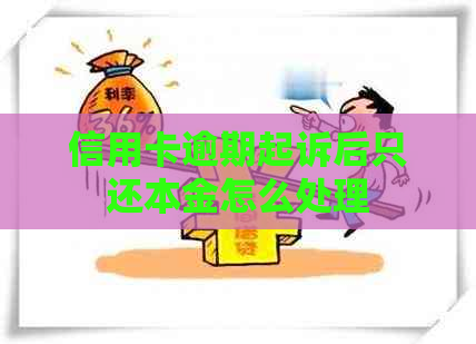 信用卡逾期起诉后只还本金怎么处理
