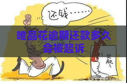 唯品花逾期还款多久会被起诉
