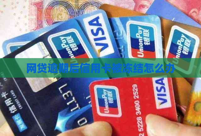 网贷逾期后信用卡被冻结怎么办